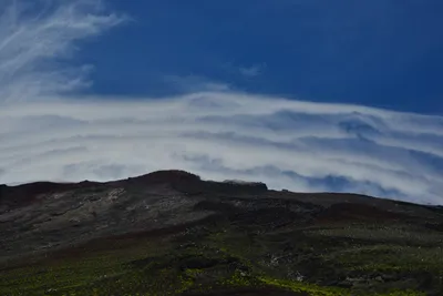 DSC_3648 (Large).JPG